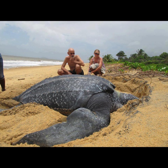 😍Bundle up your likes 😍 - Picture 9 of 16